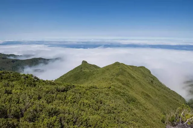 Vereda da Ilha, górski krajobraz w rejonie Pico Ruivo