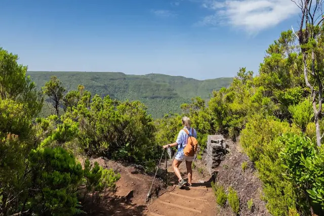 Vereda da Palha Carga, szlak przez las