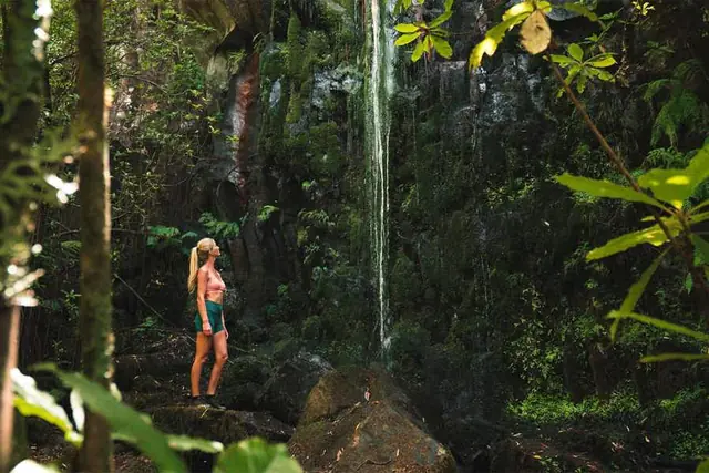 Levada dos Cedros, stary las i levada