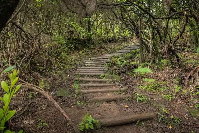 Vereda da Ribeira da Janela, zejście doliną do północnego wybrzeża