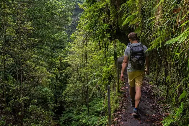 Levada Fajã do Rodrigues, tunel i bujna roślinność