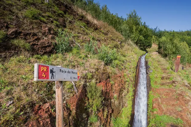 Levada do Barreiro, leśny odcinek levady