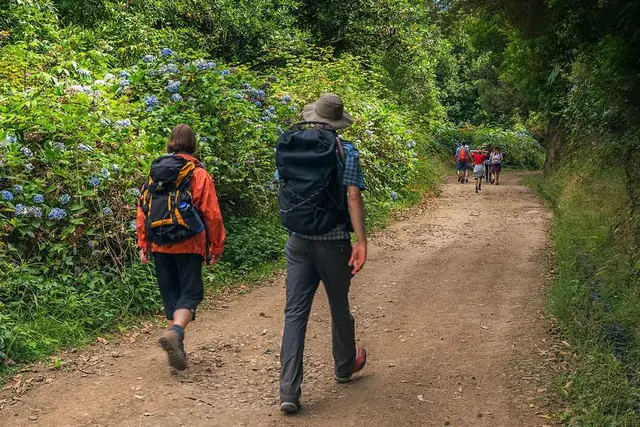 Vereda das Funduras, szlak przez las i punkty widokowe