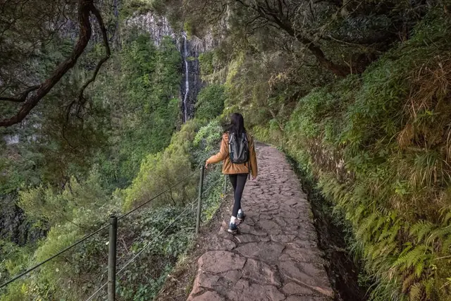 Levada do Risco, wodospad i zielony krajobraz Rabaçal