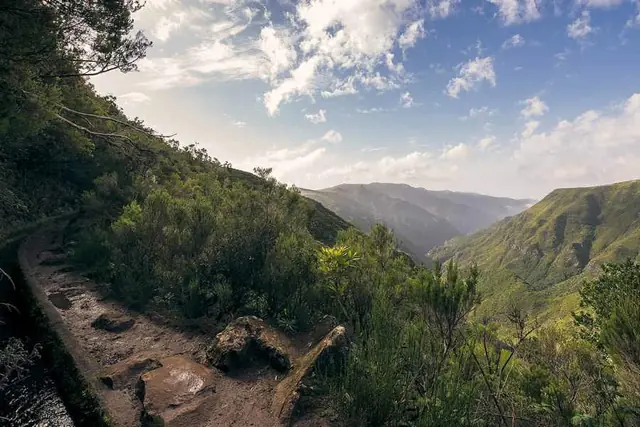 Levada do Alecrim, ścieżka wzdłuż levady