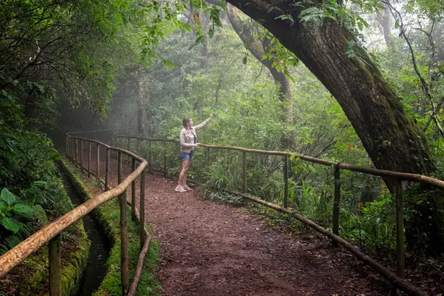 Levada do Caldeirão Verde, łatwiejszy wariant Queimadas - Pico das Pedras