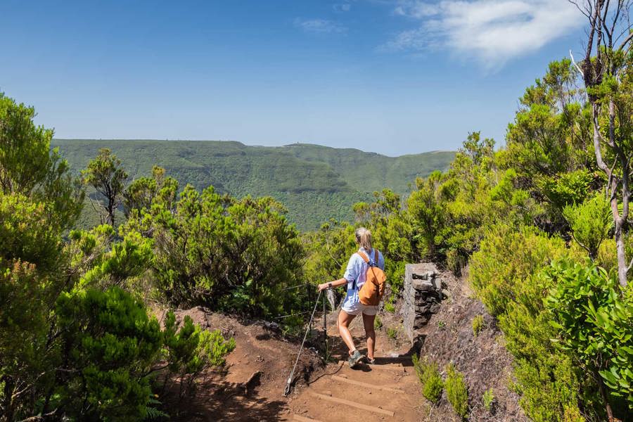 Vereda da Palha Carga, szlak przez las