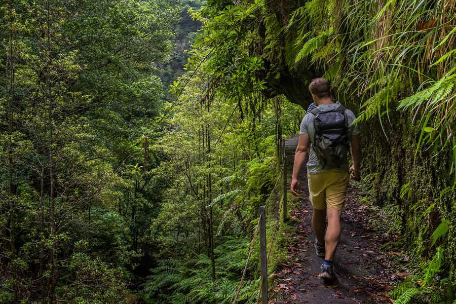 Levada Fajã do Rodrigues, tunel i bujna roślinność