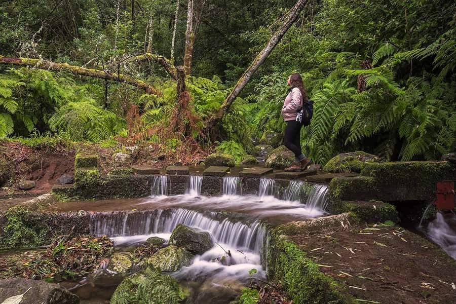 Levada do Rei, zielony korytarz levady i Ribeiro Bonito
