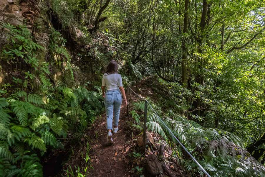 Levada do Moinho, szlak levady na północy Madery