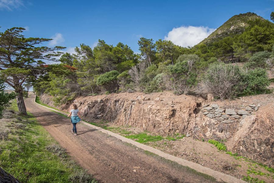 Levada do Pico do Castelo na Porto Santo